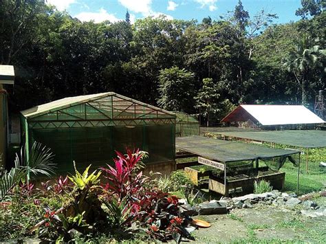 camp osmena cebu|Centenarian Osmena Reforestation Project.